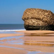 Guía de las mejores playas de Huelva