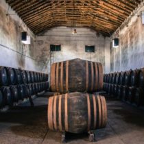 Los mejores vinos de Huelva