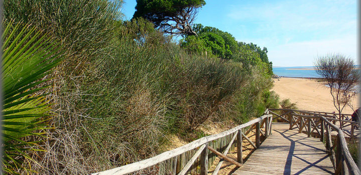 Las playas de Huelva mejoran su accesibilidad