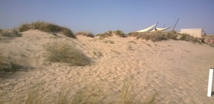 Las playas de Huelva son las de mayor volumen de arena de España